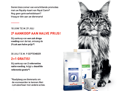 Dierenarts Essen - ZOMER VAN DE KAT